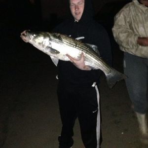 Meet your Posher, Sean